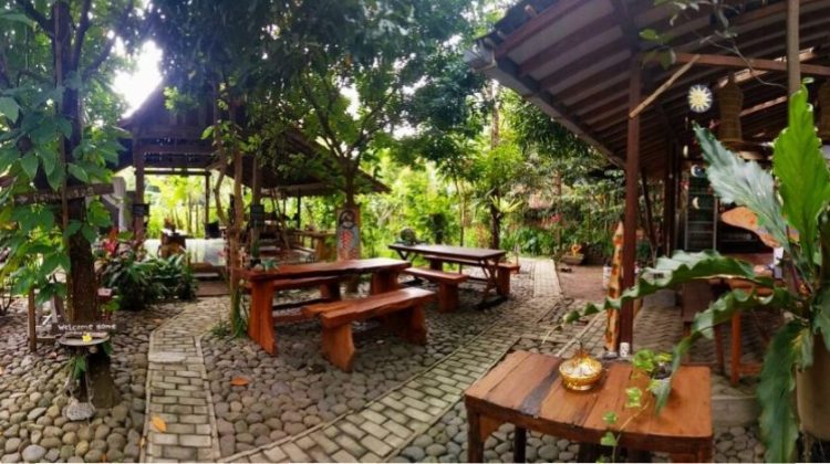 homestay banyuwangi desa, homestay pedesa'an banyuwangi, paket stay weekend banyuwangi