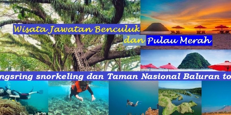 Banyuwangi trip ke Djawatan, Pulau Merah, snorkeling & Baluran 2H Banyuwangi travel ke Djwatan Benculuk, Pantai Pulau Merah, Bangsring dan Baluran 2 hari Trip 2 hari di Banyuwangi ke Djwatan Benculuk, Pantai Pulau Merah, Bangsring dan Taman Nasional Baluran banyuwangi trip, banyuwangi travel, banyuwangi tur, wisata banyuwangi, pulau merah banyuwangi, jawatan tur Banyuwangi Ijen Travel