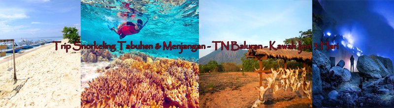 Snorkeling Tabuhan - Menjangan - Baluran dan Ijen trip-3h Banyuwangi trip 3 hari utk snorkeling Tabuhan - Menjangan dan Baluran - Ijen tour  Banyuwangi travel utk snorkeling di Pulau Tabuhan dan Menjangan + menikmati Baluran - Ijen tour  banyuwangi travel, banyuwangi trip, tabuhan snorkeling, menjangan snorkeling, baluran trip, ijen tour,  Banyuwangi Ijen Travel