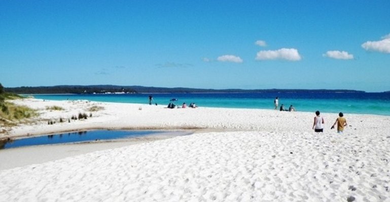 Harga Tour Wisata Baluran 1 hari Wisata Taman Nasional Baluran - Banyuwangi 1 Hari Paket Wisata Taman Nasional Baluran Banyuwangi Untuk 1 Hari trip / perjalanan dari Banyuwangi dengan harga tour yang murah dan bisa di jangkau wisata baluran, wisata banyuwangi 1 hari, wisata baluran banyuwangi, banyuwangi trip, baluran tour, banyuwangi Banyuwangi Ijen Travel
