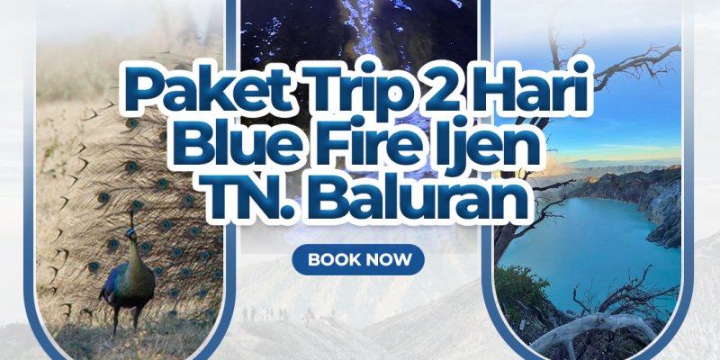 Paket Trip 2 Hari : Blue Fire Ijen - TN. Baluran 2 Hari Trip Banyuwangi: Kawah Ijen, Baluran, Kawah Wurung & Grand Watu Dodol Nikmati keindahan Banyuwangi dalam 2 hari! Eksplorasi Kawah Ijen dengan Blue Fire, savana Baluran, Kawah Wurung & pantai Grand Watu Dodol. Paket lengkap ijen trip banyuwangi 2 hari, paket tour kawah ijen, wisata baluran, kawah wurung banyuwangi, watu dodol, Private Banyuwangi Ijen Travel