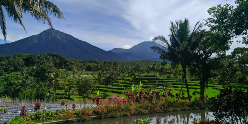 Paket Trip Banyuwangi Paket Trip Banyuwangi Paket Trip Banyuwangi Murah dengan Fasilitas Lengkap dan Pelayanan Terbaik, Dapatkan Promo dan Diskon Menarik Lainnya. Paket Trip Banyuwangi Banyuwangi Ijen Travel