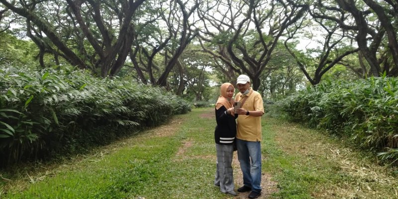 Paket Wisata Honeymoon Banyuwangi 3 hari Paket Wisata Banyuwangi 3 hari 2 malam untuk Honeymoon trip atau Wisata Bulan Madu Wisata Honeymoon 3 hari 2 malam di Banyuwangi dengan harga paket tour yang terjankau paket wisata banyuwangi 3 hari 2 malam, paket wisata honeymoon banyuwangi, trip honeymoon banyuwangi Banyuwangi Ijen Travel