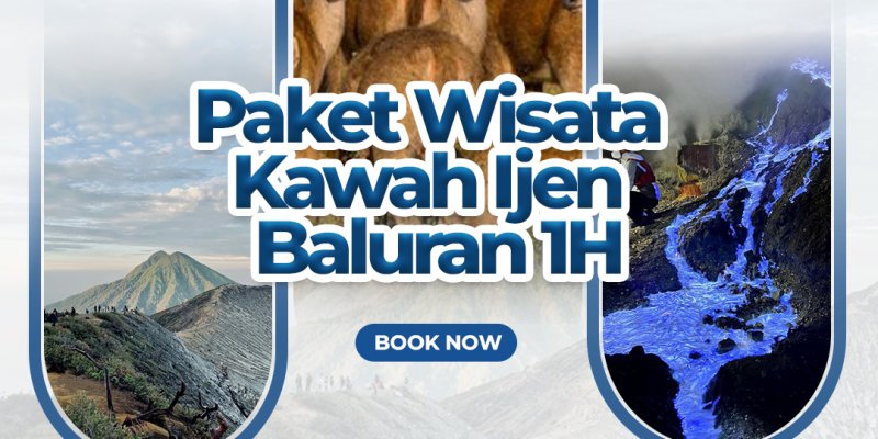 Paket Wisata Kawah Ijen - Baluran 1H  Paket Wisata Banyuwangi 1 Hari trip ke Wisata Kawah Ijen dan Taman Nasional Baluran  Paket Banyuwangi Tour 1 Hari trip ke Api Biru Kawah Ijen dan Paket Wisata Baluran paket wisata banyuwangi 1 hari, 1 hari trip banyuwangi, wisata banyuwangi 1 hari, trip banyuwangi 1 hari  Banyuwangi Ijen Travel