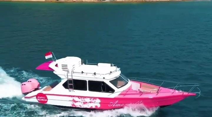 Private Trip Komodo National Park Speedboat Amankila Private Trip Komodo National Park 1 Day Tour Nikmati private trip Komodo National Park dari Labuan Bajo private trip komodo national park speedboat komodo tour padar island trekking tour pink beach komodo Banyuwangi Ijen Travel