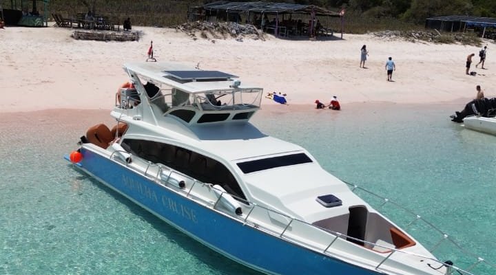 Private Trip Komodo National Park Speedboat Aquilha Cruise Private Trip Komodo National Park 1 Day Tour Nikmati private trip Komodo National Park dari Labuan Bajo private trip komodo national park speedboat komodo tour padar island trekking tour pink beach komodo Banyuwangi Ijen Travel