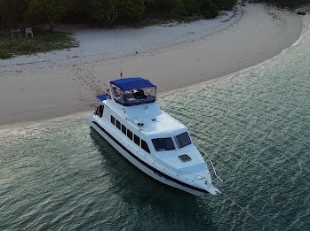 Private Trip Komodo National Park Speedboat Easy Go Private Trip Komodo National Park 1 Day Tour Nikmati private trip Komodo National Park dari Labuan Bajo private trip komodo national park speedboat komodo tour padar island trekking tour pink beach komodo Banyuwangi Ijen Travel