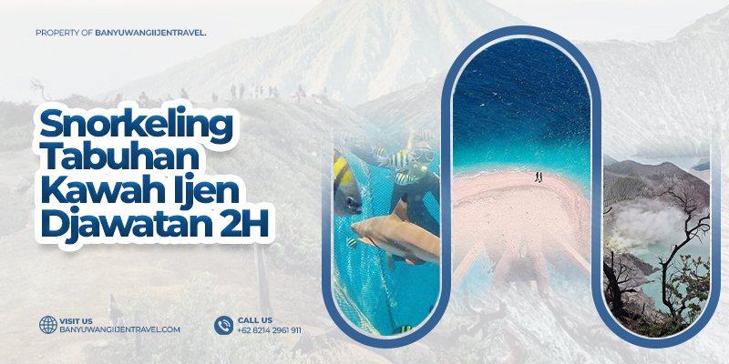 Snorkeling Tabuhan, Kawah Ijen - Djawatan 2H Banyuwangi trip 2 Hari Tour ke Snorkeling Tabuhan - Pantai Bangsring, Api Biru Ijen dan Wisata Hutan Djawatan  Banyuwangi tour ke Pulau Tabuhan - Pantai Bangsring, Api Biru Kawah Ijen dan Wisata Djawatan Benculuk 2 hari trip snorkeling tabuhan, snorkeling bangsring, snorkeling banyuwangi trip, ijen tour, djawatan trip, jawatan tour Banyuwangi Ijen Travel