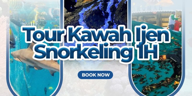 Tour Kawah Ijen dan Snorkeling 1H Wisata Banyuwangi 1 hari trip ke Api Biru Kawah Ijen dan Pantai Bangsring Underwater untuk snorkeling tour Wisata Banyuwangi 1 hari trip untuk Kawah Ijen blue fire tour & Pantai Bangsring snorkeling serta menikmati view Pantai Bangsring > harga mulai 1.1 jt utk 2 org wisata banyuwangi, banyuwangi trip, banyuwangi travel, bangsring snorkeling, bangsring beach, pantai bangsring Banyuwangi Ijen Travel