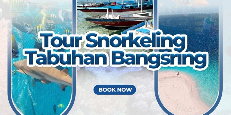 Tour Snorkeling Tabuhan - Bangsring 1H Paket Wisata Banyuwangi 1 hari trip utk snorkeling tour di Pulau Tabuhan dan Pantai Bansring  Paket Wisata Banyuwangi utk snorkeling tour di Pulau Tabuhan dan Pantai Bansring atau Bangsring Under Water 1 hari trip 1 hari trip banyuwangi, paket wisata banyuwangi, bangsring snorkeling, tabuhan snorkeling, pulau tabuhan trip Banyuwangi Ijen Travel