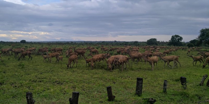 Wisata Banyuwangi Murah Wisata Banyuwangi Murah Wisata Banyuwangi Murah dengan Fasilitas Lengkap dan Pelayanan Terbaik,Profesional,Aman dan Nyaman di Banyuwangi Wisata Banyuwangi Murah Banyuwangi Ijen Travel