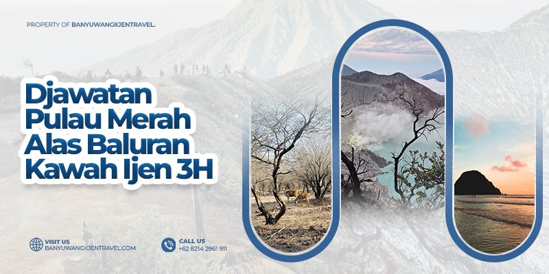 Wisata Jawatan, Pulau Merah, Baluran - Ijen 3H Banyuwangi trip dan paket wisata 3 hari ke De Jawatan, Pulau Merah, Baluran and Kawah Ijen Banyuwangi travel wisata di banyuwangi untuk liburan 3 hari mengunjungi De Jawatan, Pulau Merah, Pantai Bangsring, Baluran and Kawah Ijen banyuwangi trip, banyuwangi travel, banyuwangi wisata, de Jawatan trip, pulau merah, baluran, kawah ijen tour  Banyuwangi Ijen Travel
