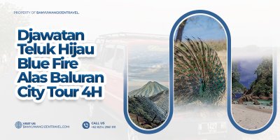 Banyuwangi Tour Yuk 4 Hari ~ Paket A Paket 4 Hari Trip Jelajah Wisata Banyuwangi dgn harga murah ke Djawatan, Teluk Hijau, Baluran, Bangsring, Ijen Wisata ke De Djawatan, Teluk Hijau, Taman Nasional Baluran, Bangsring Underwater, Kawah Ijen dan Banyuwangi City Tour 4 Hari djawatan, teluk hijau, teluk ijo, baluran, bangsring underwater, kawah ijen, wisata banyuwangi 4 hari, wisata  Banyuwangi Ijen Travel