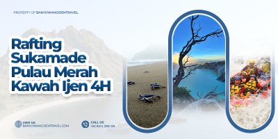 Banyuwangi Tour Yuk 4 Hari ~ Paket B Jelajah Wisata Banyuwangi 4 Hari ~ paket B Wisata Banyuwangi Rafting, Hutan Pinus Songgon, Pantai Penyu Sukamade, Pantai Pulau Merah, Kawah Ijen, & Banyu banyuwangi rafting, hutan pinus songgon, kawah ijen, sukamade, penyu sukamade, kawah ijen, banyuwangi Banyuwangi Ijen Travel