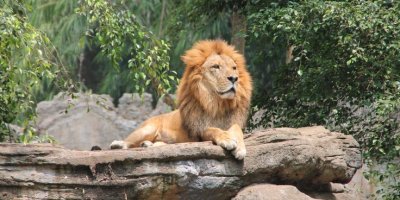 Batu–Malang Family Tour 3 Hari 2 Malam