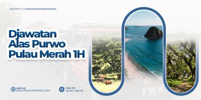 Trip 1H ke Djawatan – Alas Purwo – Pulau Merah Djawatan – Alas Purwo – Pulau Merah Trip 1 Hari Banyuwangi Trip 1 hari ke Djawatan, Alas Purwo & Pulau Merah Banyuwangi. Rute efisien, tiket lengkap, sunset Pulau Merah. Pesan sekarang! trip djawatan, trip pulau merah, trip alas purwo, paket wisata djawatan, djawatan alas purwo dan pulau merah  Banyuwangi Ijen Travel