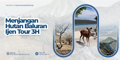 Menjangan snorkeling, Baluran - Ijen tour 3H  Paket wisata snorkeling menjangan, snorkeling tabuhan, baluran tour dan Ijen trip selama liburan 3 hari   Trip Banyuwangi 3 hari utk paket wisata snorkeling menjangan, snorkeling tabuhan, baluran tour dan Ijen trip  snorkeling tabuhan, snorkeling menjangan, baluran tour, kawah ijen tour, kawah ijen trip, banyuwangi wisata Banyuwangi Ijen Travel