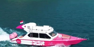 Private Trip Komodo National Park Speedboat Amankila