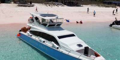 Private Trip Komodo National Park Speedboat Aquilha Cruise