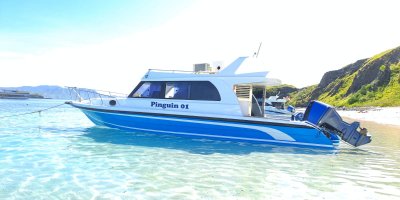 Private Trip Komodo National Park Speedboat Pinguin 01