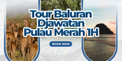 Tour Baluran, Hutan Djawatan - Pulau Merah 1H Banyuwangi wisata 1 hari trip utk tour ke Baluran, Hutan Djawatan dan Pantai Pulau Merah Paket wisata Banyuwangi 1 hari tour utk trip murah ke Baluran, Hutan Djawatan dan Pantai Pulau Merah baluran tour, djawatan tour, pulau merah tour, paket wisata banyuwangi, wisata banyuwangi1 hari, trip 1 hari Banyuwangi Ijen Travel