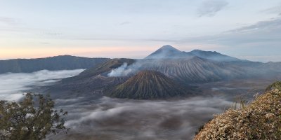 Trip Sunrise Bromo 1H dari Banyuwangi – Finish Malang/ Surabaya/ Banyuwangi