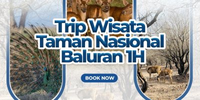 Trip Wisata Taman Nasional Baluran 1H