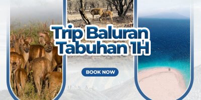 Visit Banyuwangi & Trip Baluran - Tabuhan 1H Paket visit Banyuwangi dan liburan dgn trip Baluran dan snorkeling tour Pulau Tabuhan 1 hari 1 hari trip dan visit Banyuwangi utk tour Baluran dan snorkeling Pulau Tabuhan Banyuwangi visit banyuwangi, baluran trip, baluran tour, snorkeling tabuhan, tabuhan snorkeling tour, banyuwangi tour Banyuwangi Ijen Travel