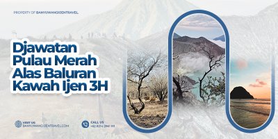 Wisata Jawatan, Pulau Merah, Baluran - Ijen 3H Banyuwangi trip dan paket wisata 3 hari ke De Jawatan, Pulau Merah, Baluran and Kawah Ijen Banyuwangi travel wisata di banyuwangi untuk liburan 3 hari mengunjungi De Jawatan, Pulau Merah, Pantai Bangsring, Baluran and Kawah Ijen banyuwangi trip, banyuwangi travel, banyuwangi wisata, de Jawatan trip, pulau merah, baluran, kawah ijen tour  Banyuwangi Ijen Travel